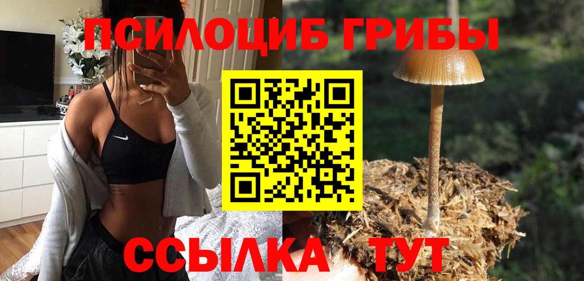Галлюциногенные грибы мухоморы  Галлюциногенные грибы Magic Shrooms  Будённовск  Вход с VPN 